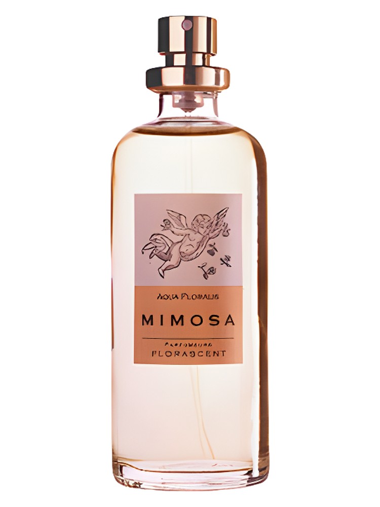 Mimosa – Florascent