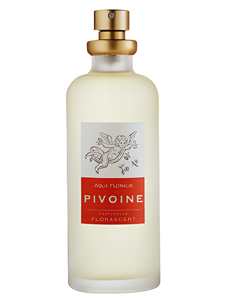 Pivoine – Florascent