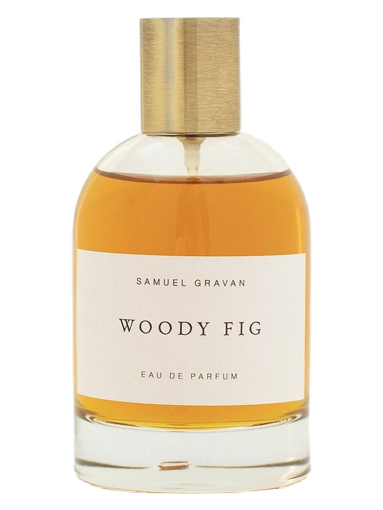 Woody Fig – Samuel Gravan
