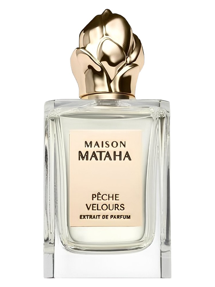 Pêche Velours – Maison Mataha