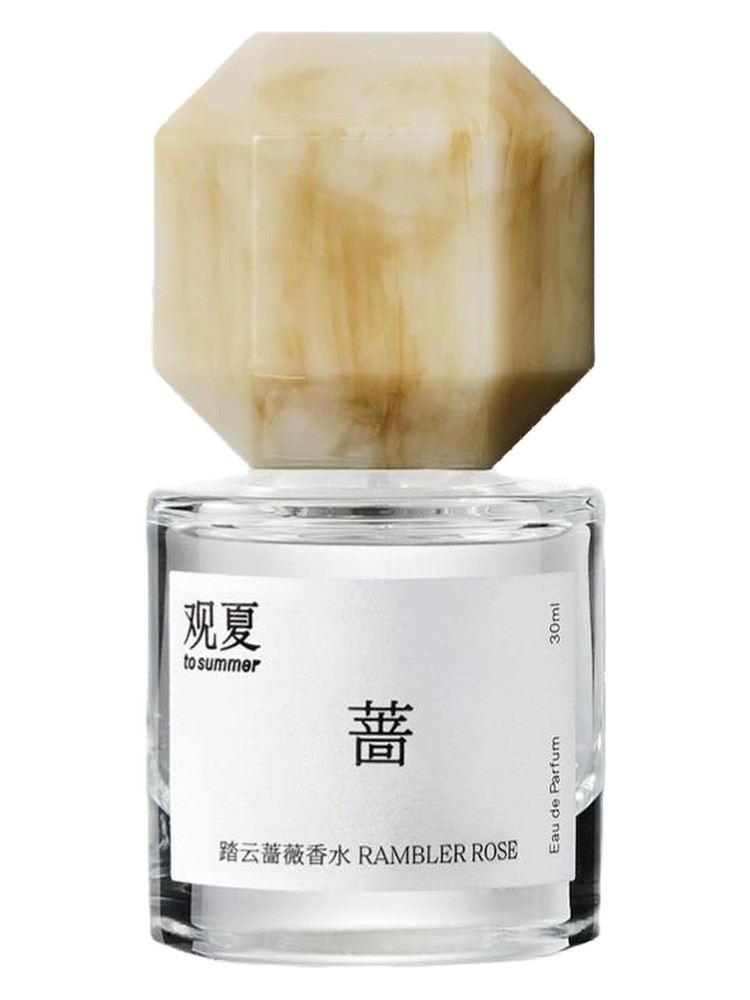 Rambler Rose 踏云蔷薇 – To Summer | 观夏
