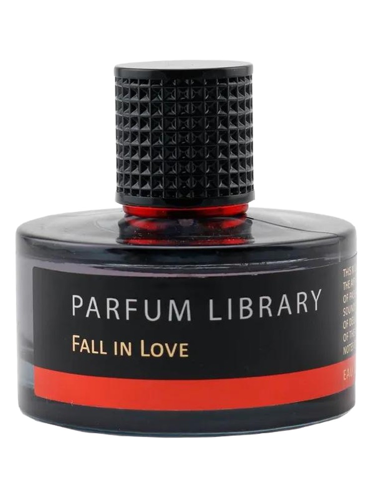 Fall in Love – Vinci