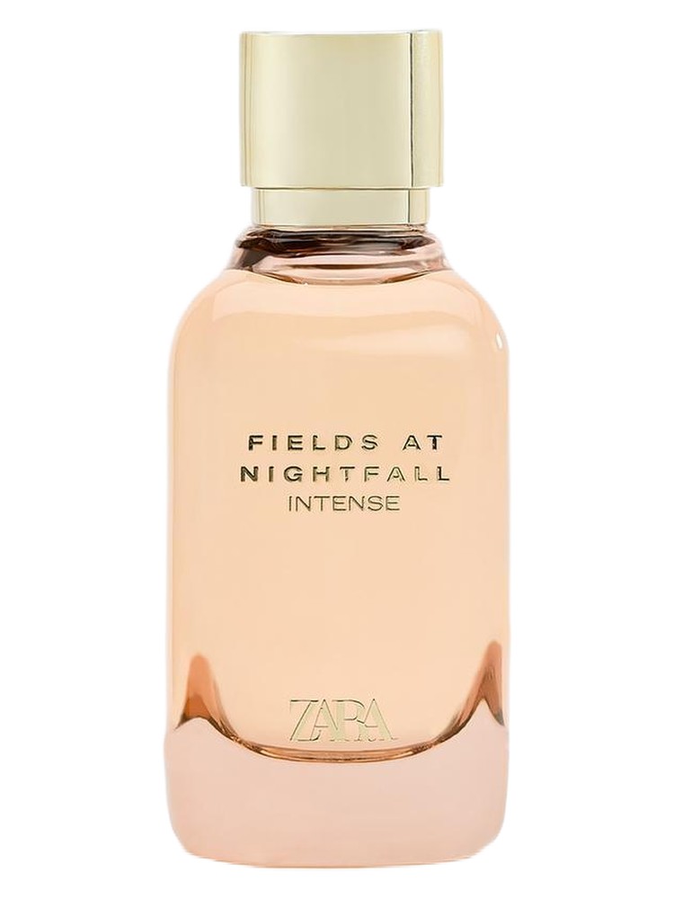 Fields At Nightfall Intense – Zara