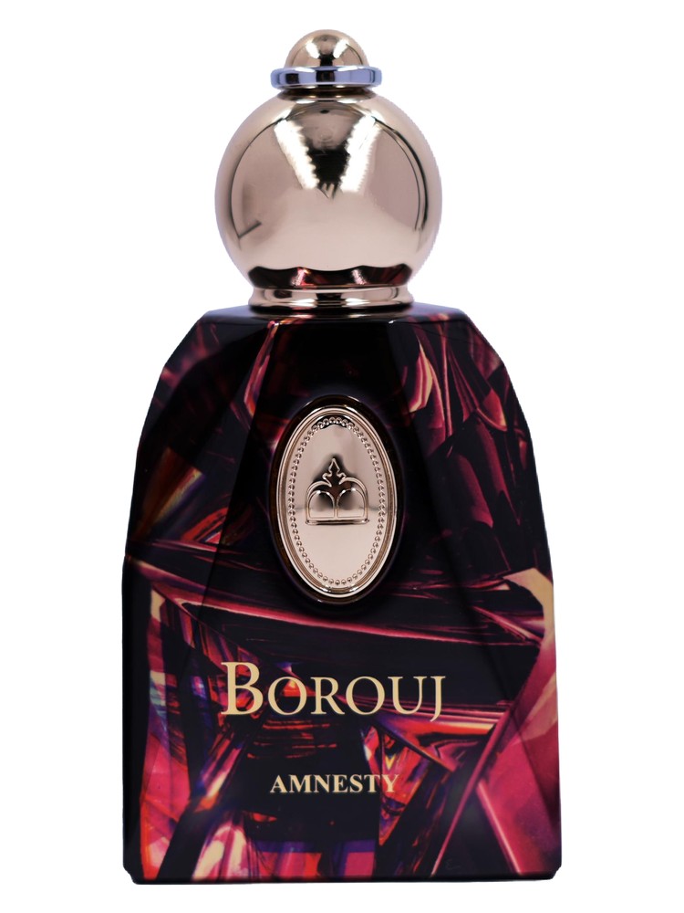 Amnesty – Borouj