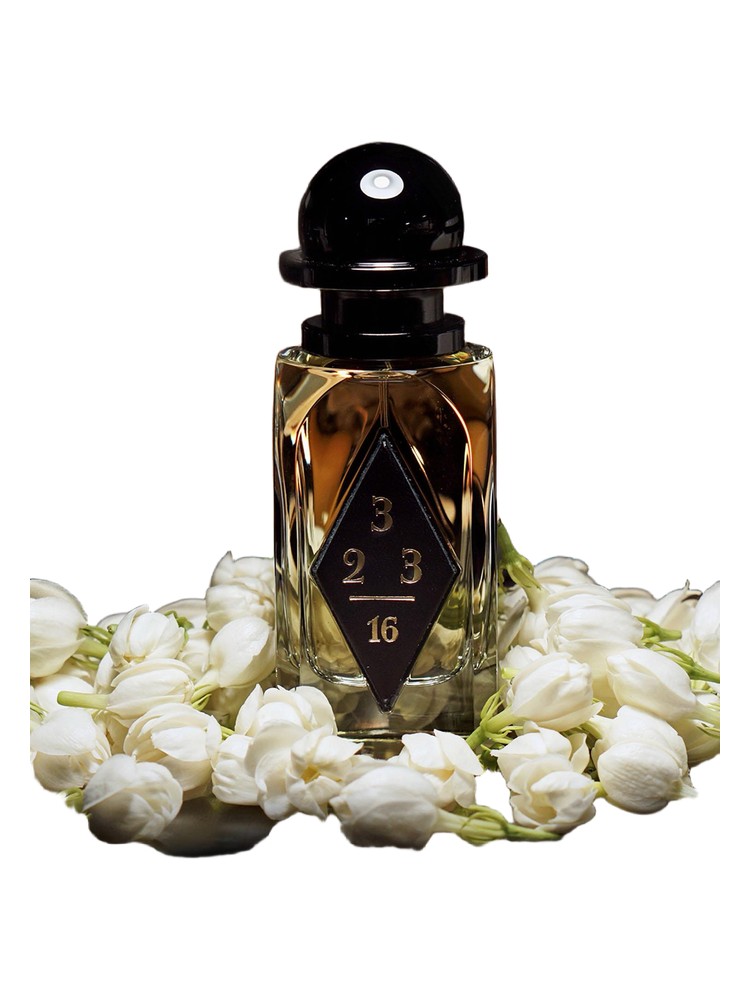 Wild Jasmine – OrdioLab