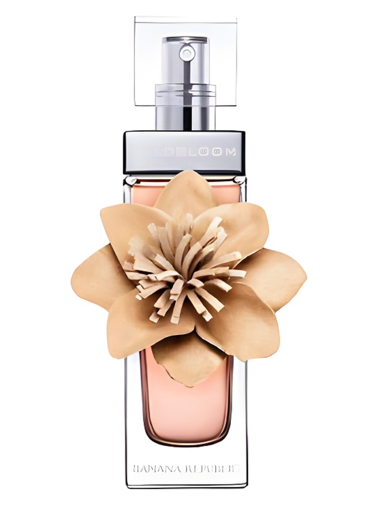 Wildbloom – Banana Republic