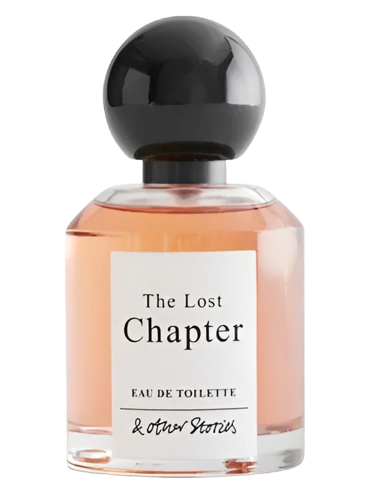 The Lost Chapter – And Other Stories