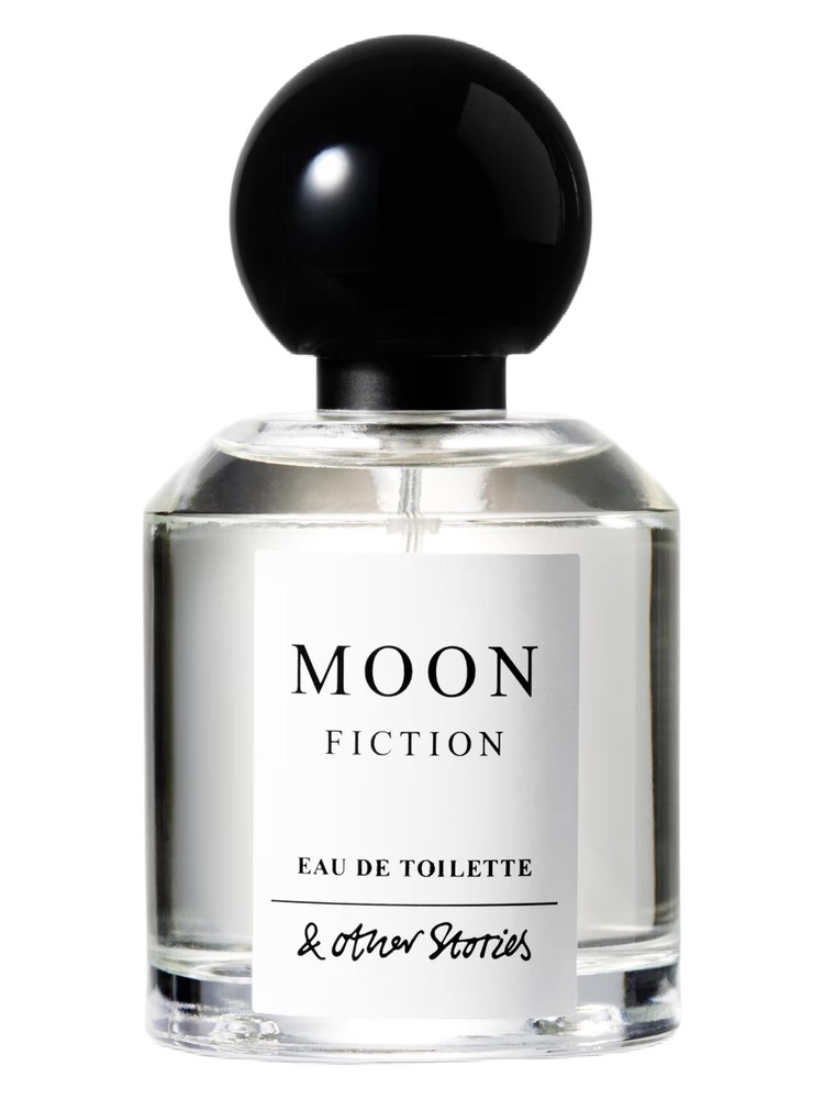 Moon Fiction – And Other Stories