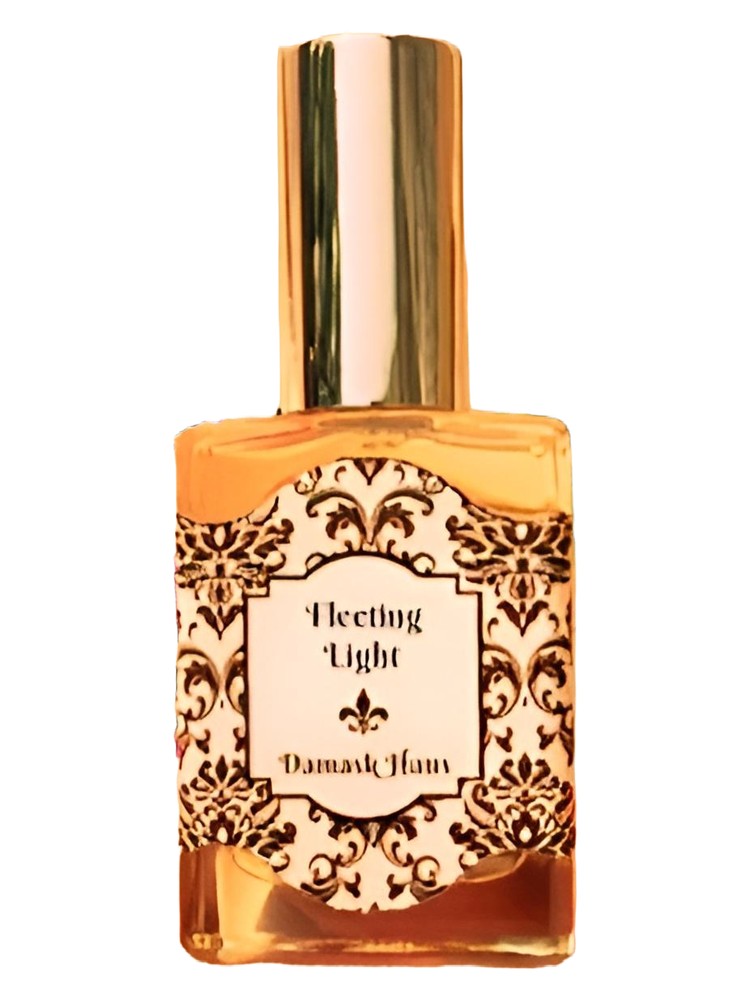 Fleeting Light – Damask Haus