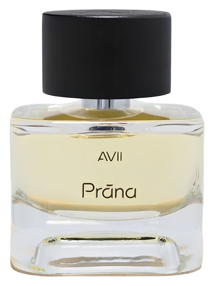 Prāna – AVII