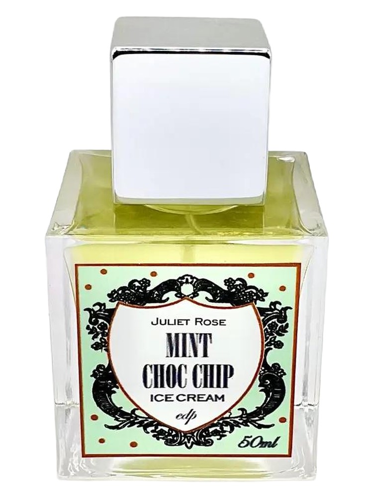 Mint Choc Chip Ice Cream – Juliet Rose