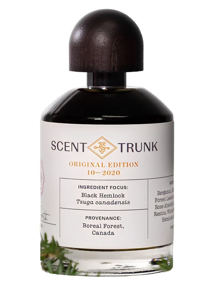Black Hemlock – Scent Trunk