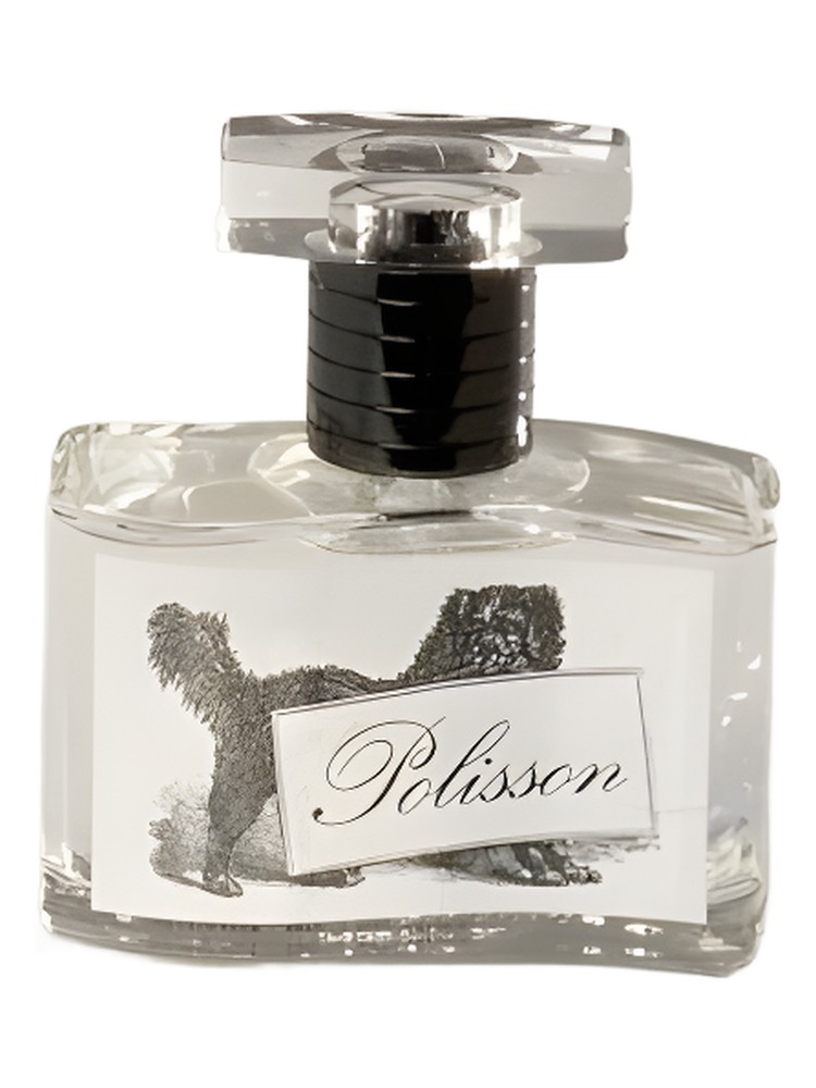 Polisson – Prudence Paris