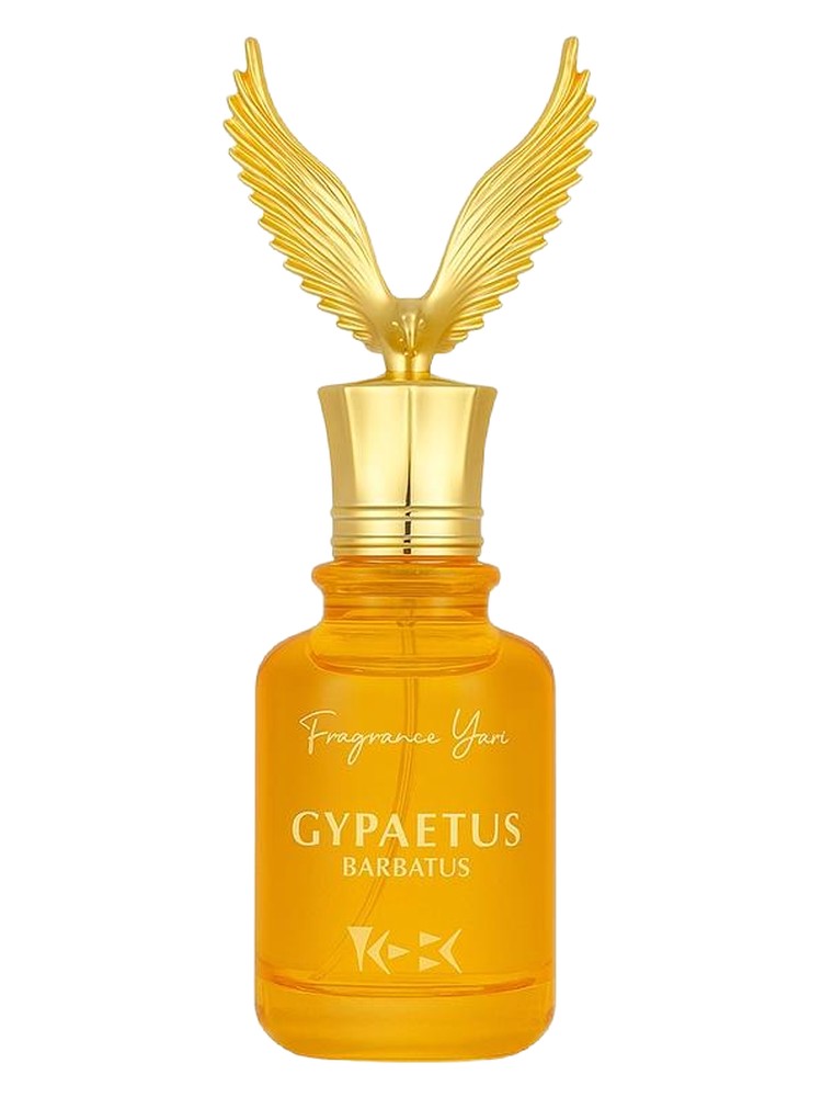 Gypaetus – YANI