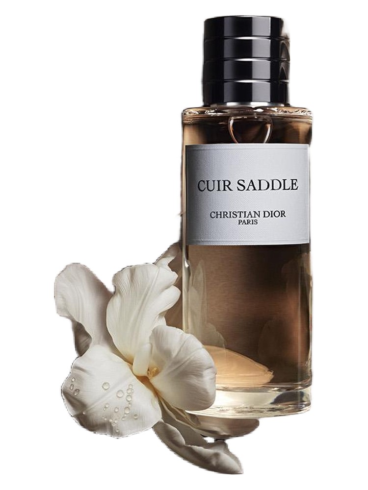 Cuir Saddle – Dior