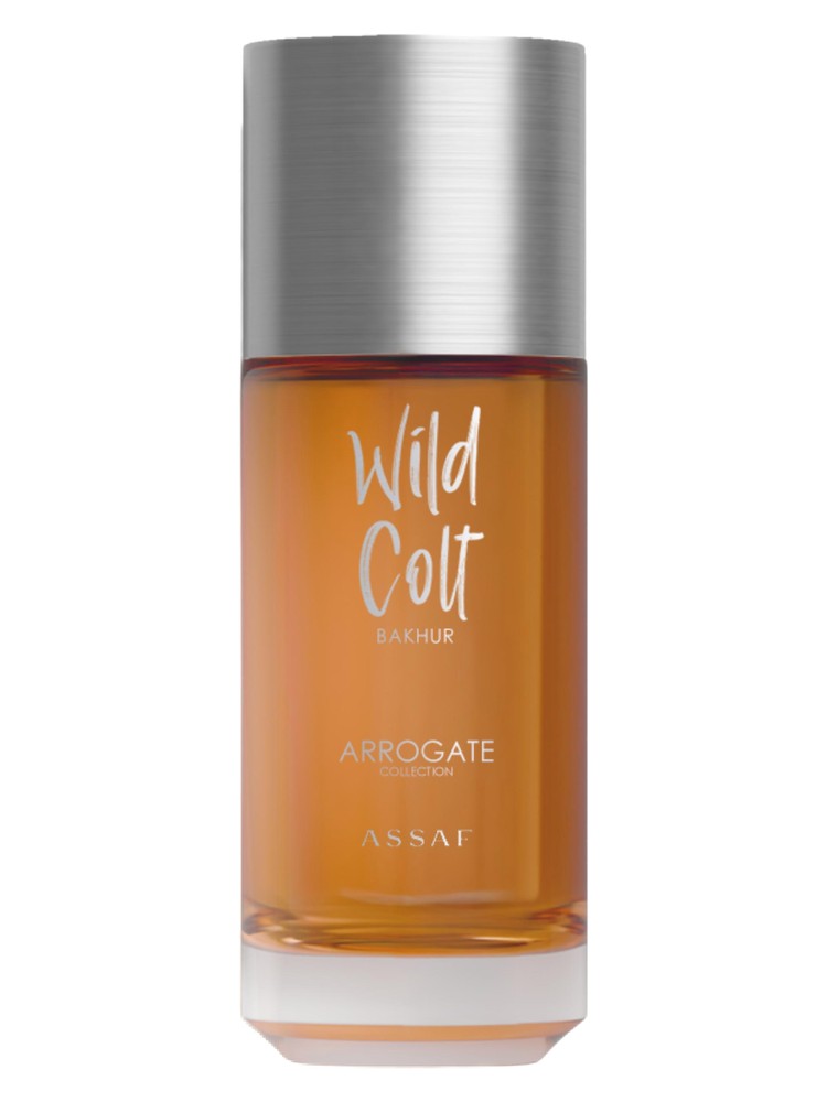 Wild Colt Bakhur – Assaf