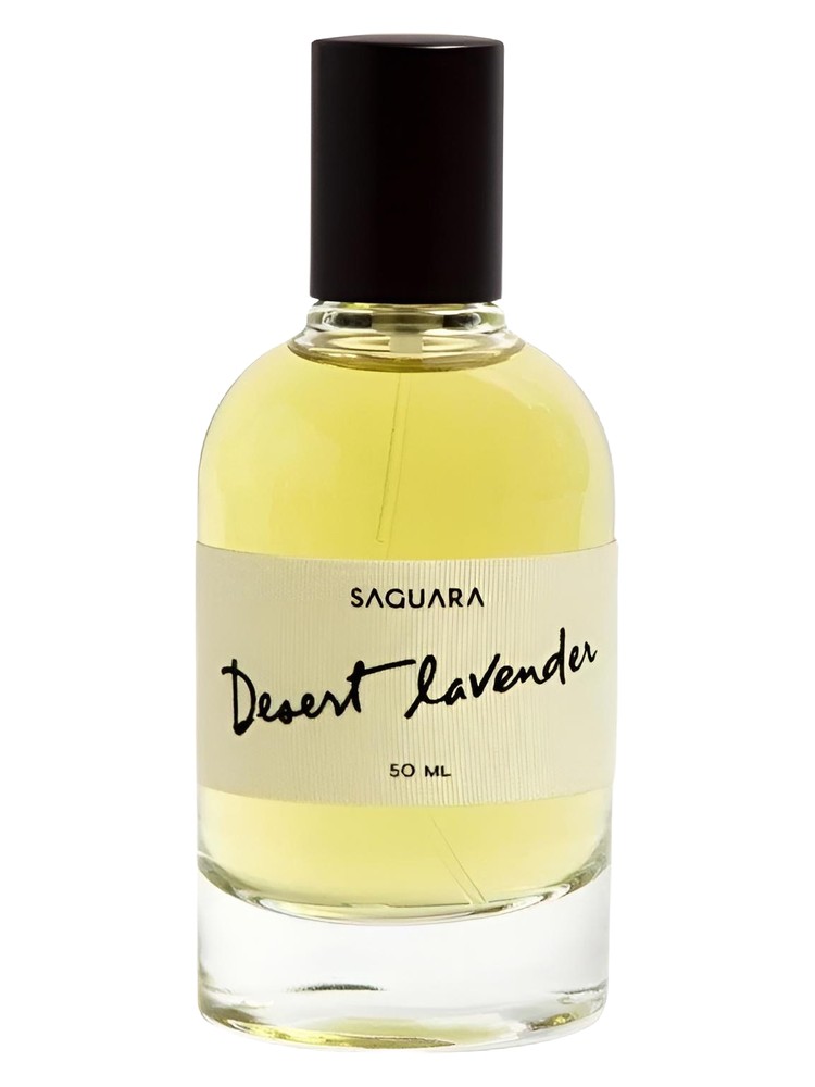 Desert Lavender – Saguara
