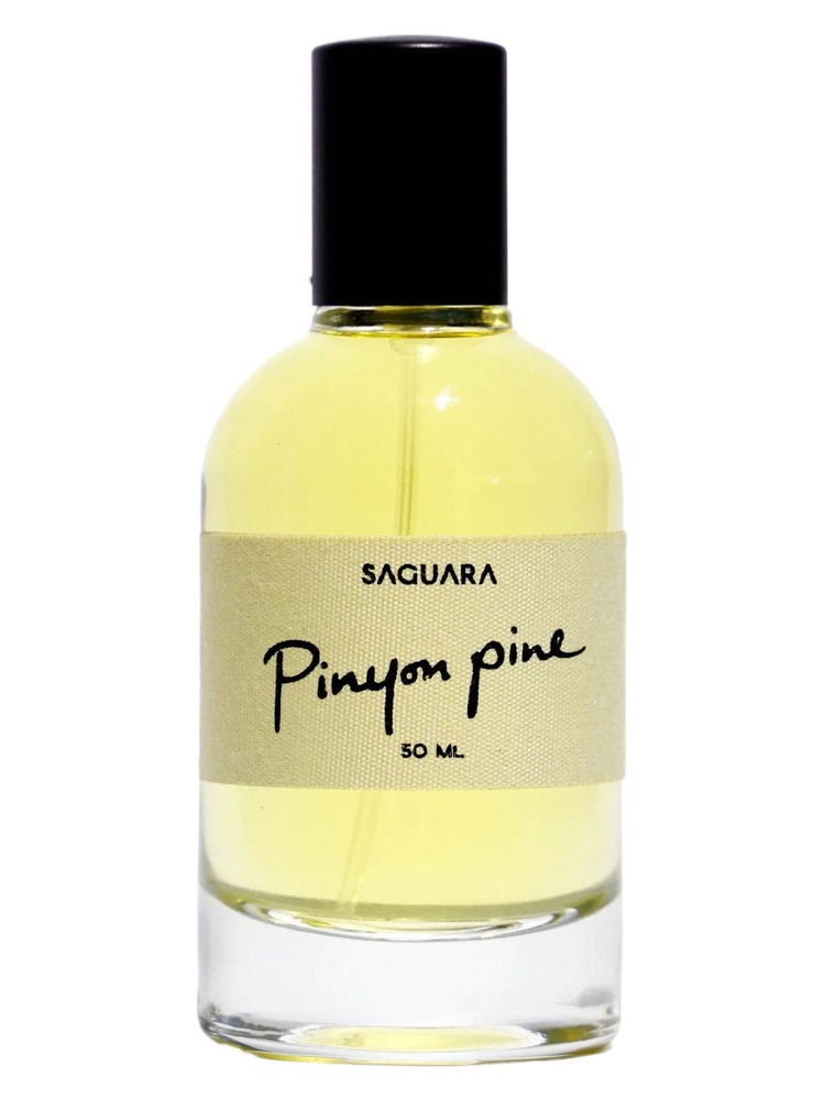 Pinyon Pine – Saguara