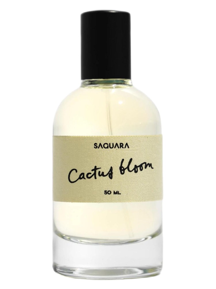 Cactus Bloom – Saguara