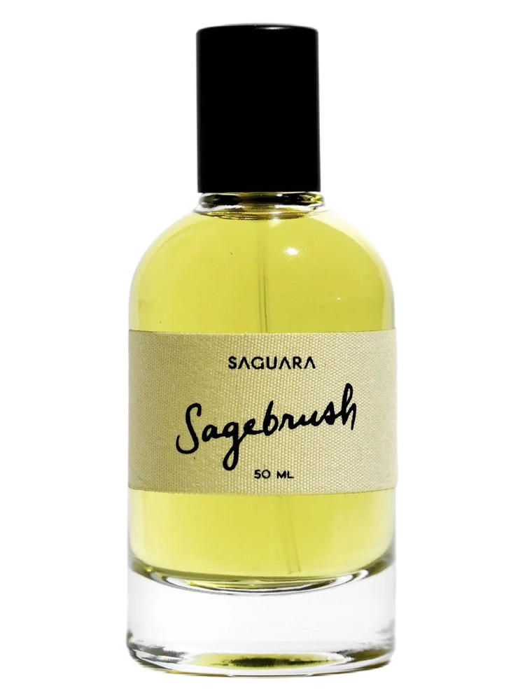 Sagebrush – Saguara
