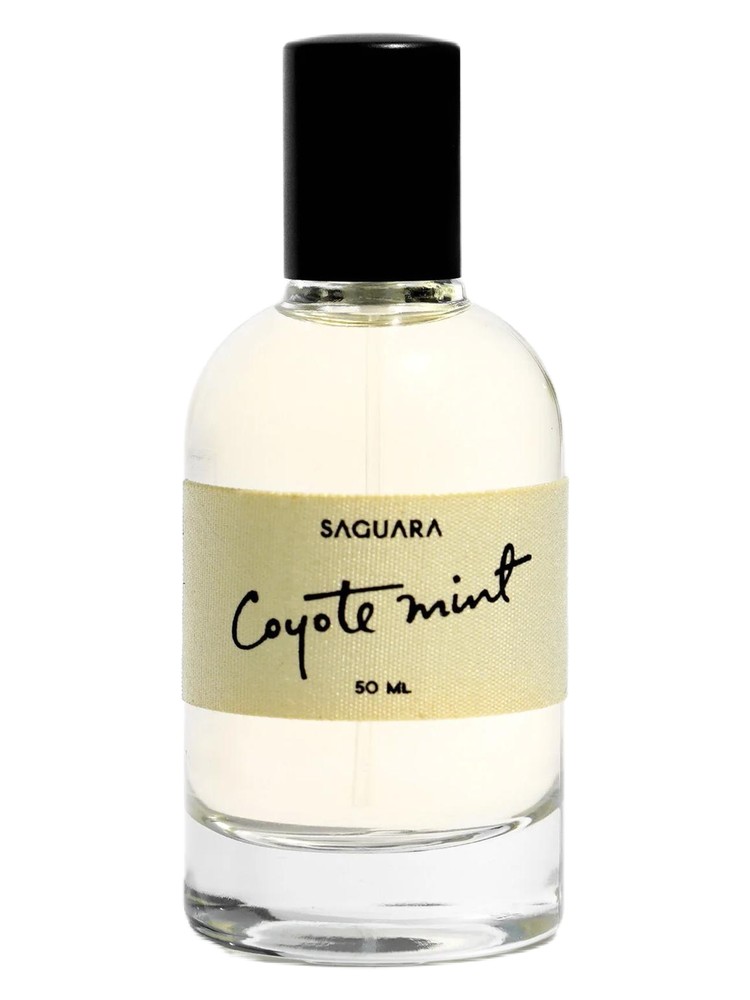 Coyote Mint – Saguara