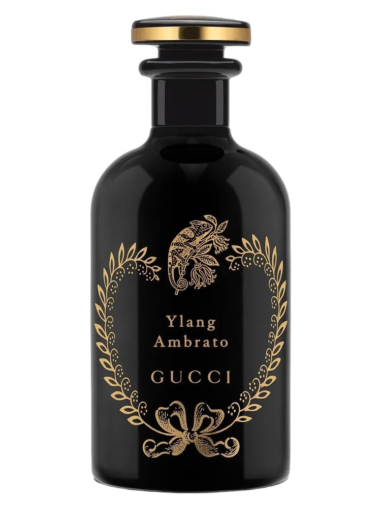 Ylang Ambrato – Gucci