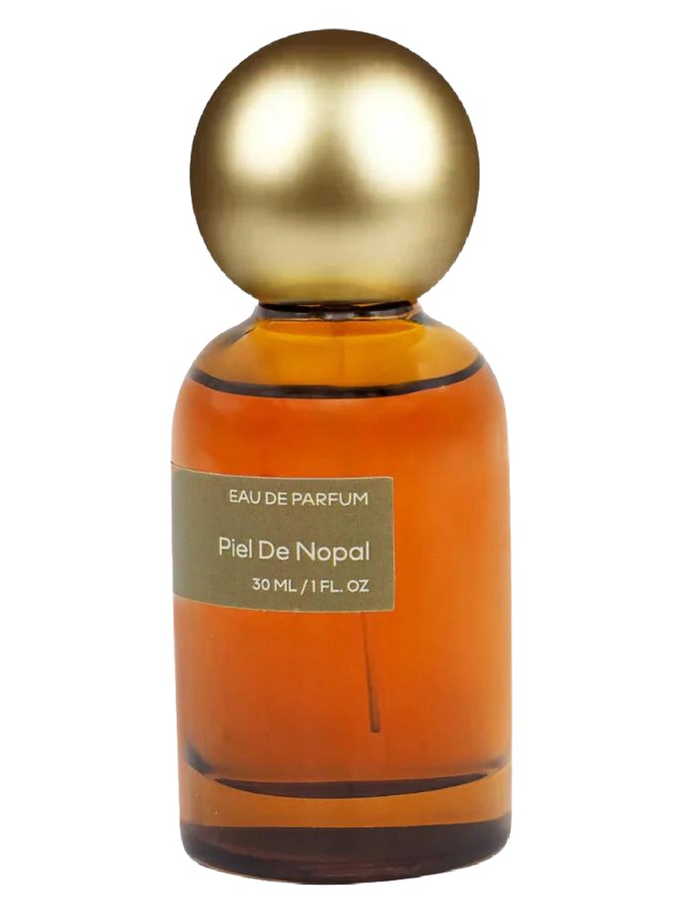 Piel de Nopal – aptuum