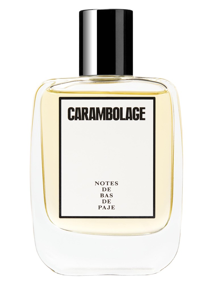 Carambolage – Notes de Bas de Paje