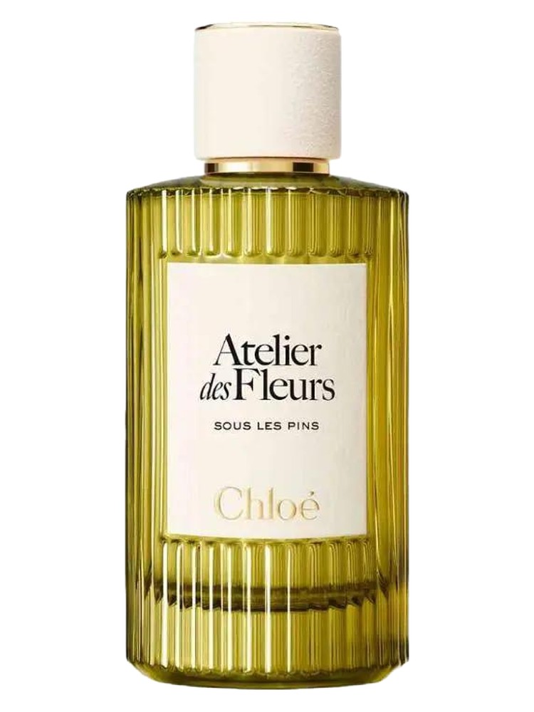 Sous les Pins – Chloé