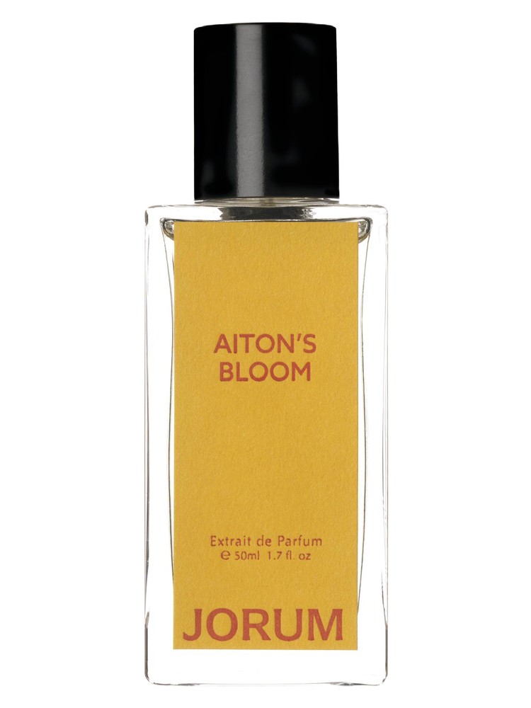 Aiton’s Bloom – Jorum Studio
