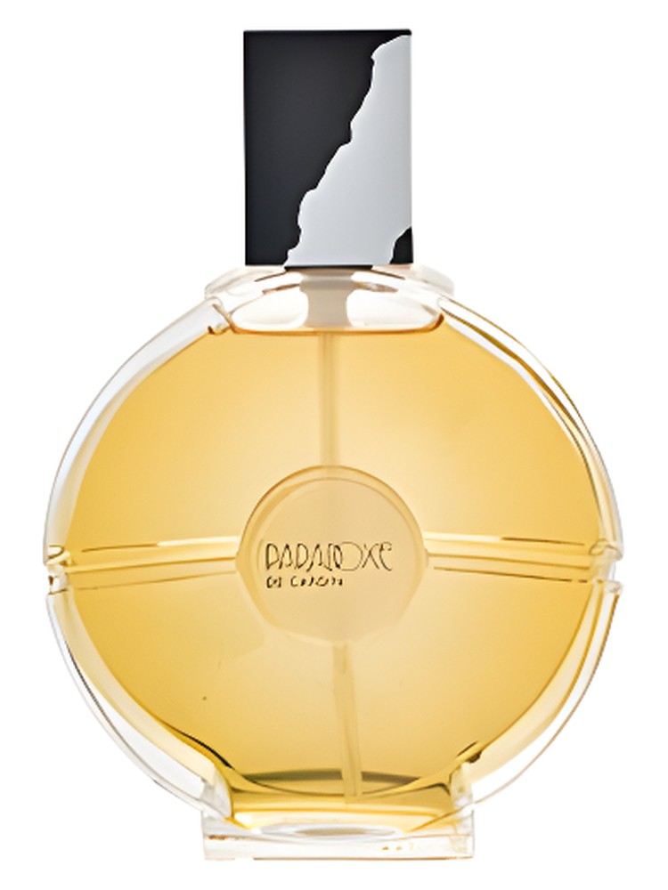 Paradoxe – Pierre Cardin
