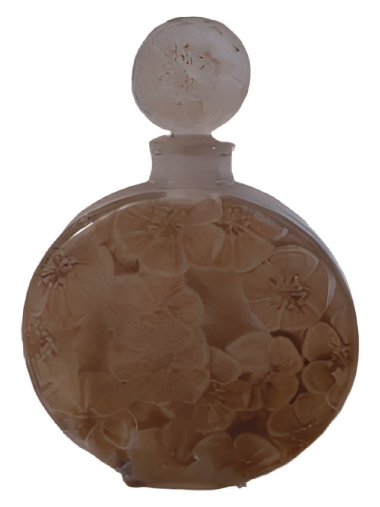 Rose Brumaire – Volnay
