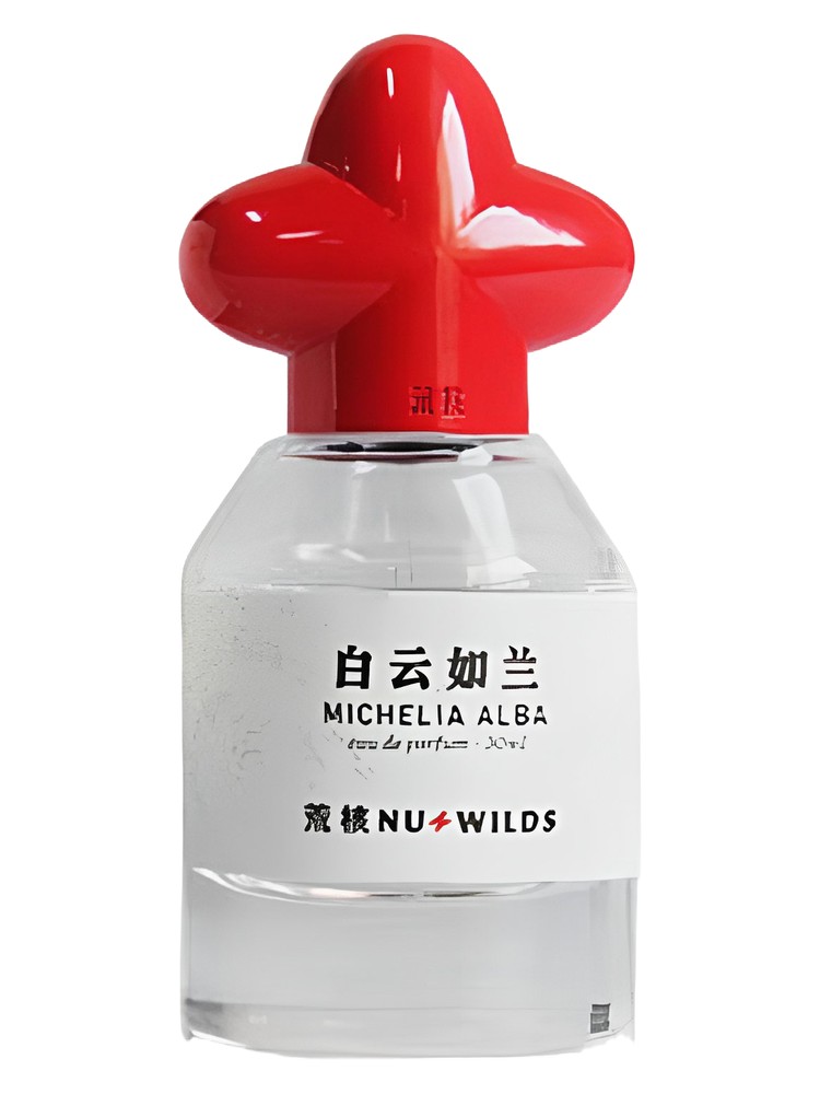 Michelia Alba – Nu Wilds