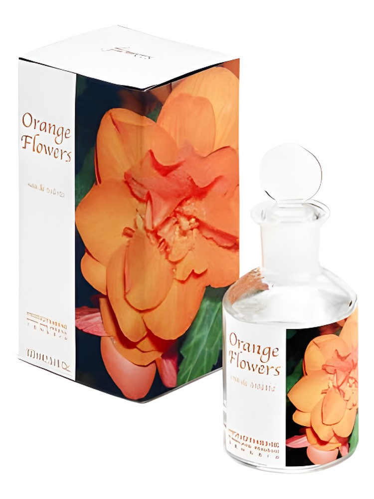 Orange Flowers – Monotheme Venezia