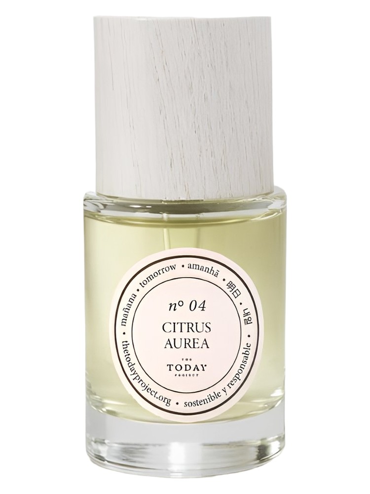 Citrus Aurea – The Today Project