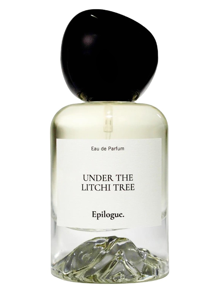 Under the Litchi Tree – Epilogue
