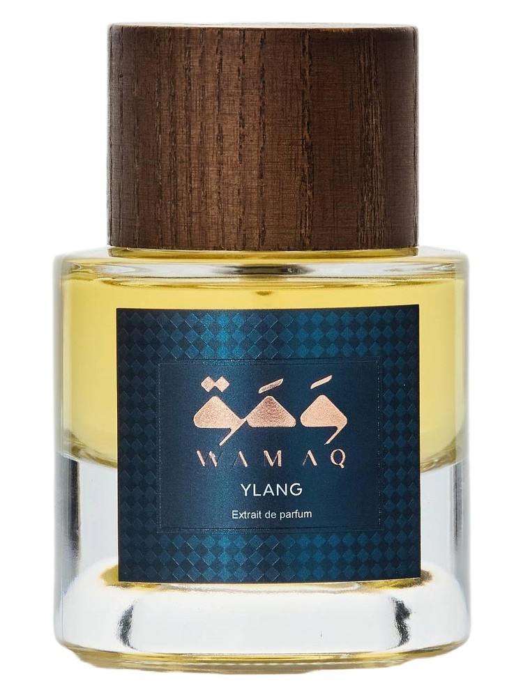 Ylang – WAMAQ