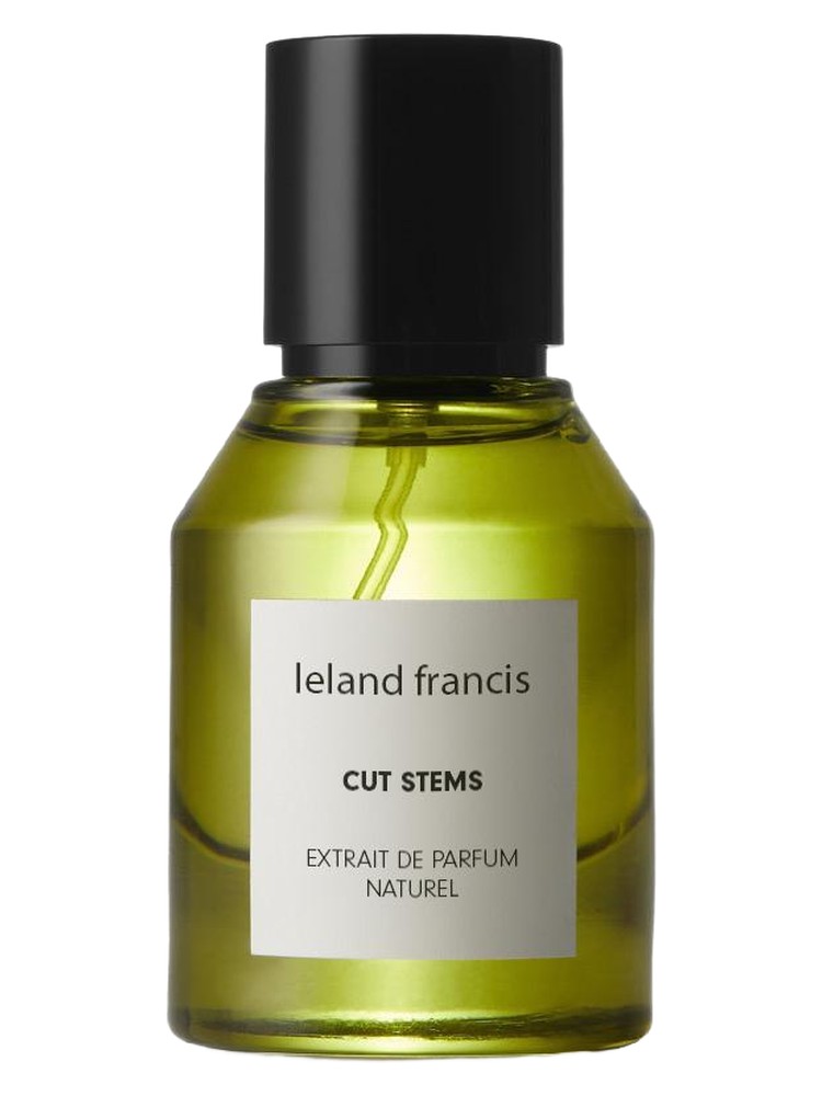 Cut Stems – Leland Francis