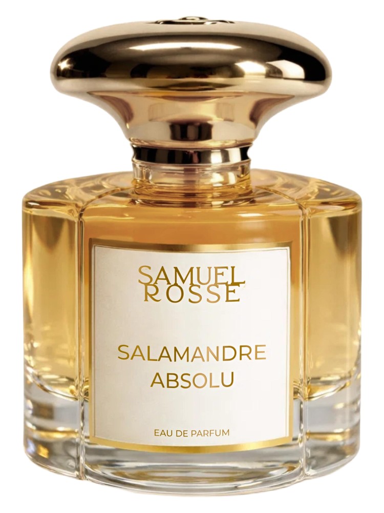 Salamandre Absolu – Samuel Rosse