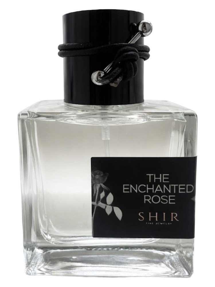 The Enchanted Rose – SHIR