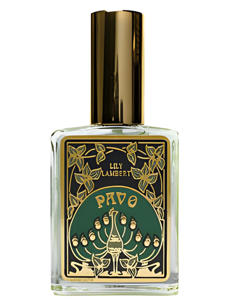 Pavo – Lily Lambert