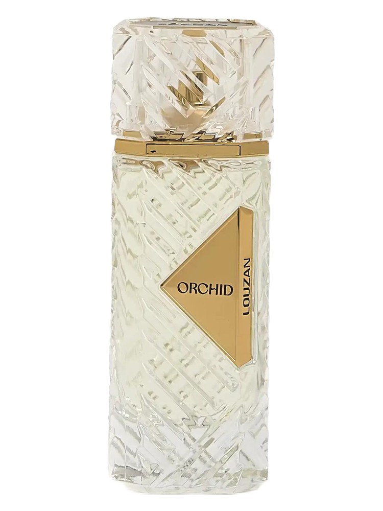 Orchid – Louzan