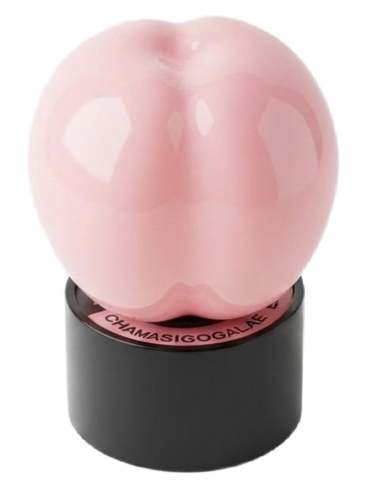 Chamasigogalae – Scentseum