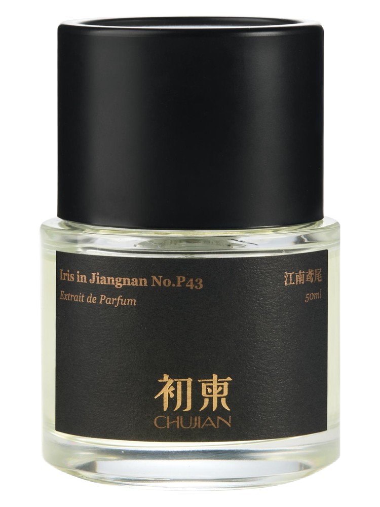 Iris in Jiangnan No.P43 江南鸢尾 – ChuJian 初柬