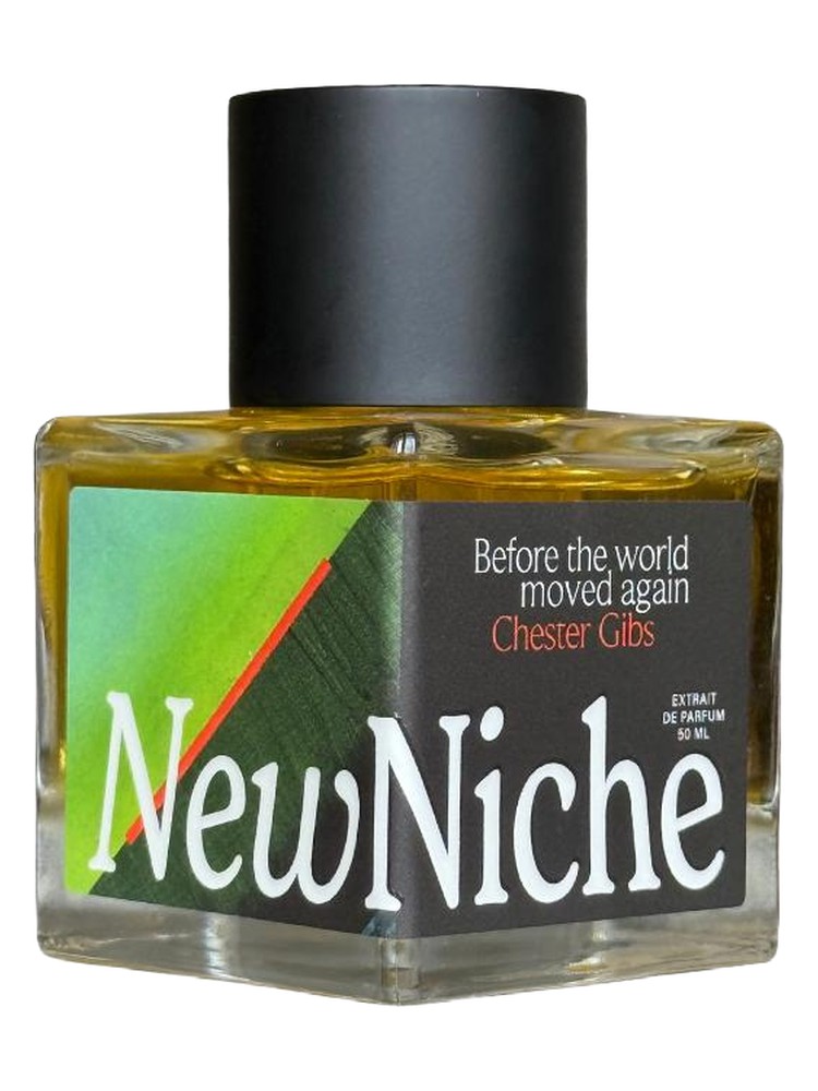 Before the World Moved Again – NewNiche