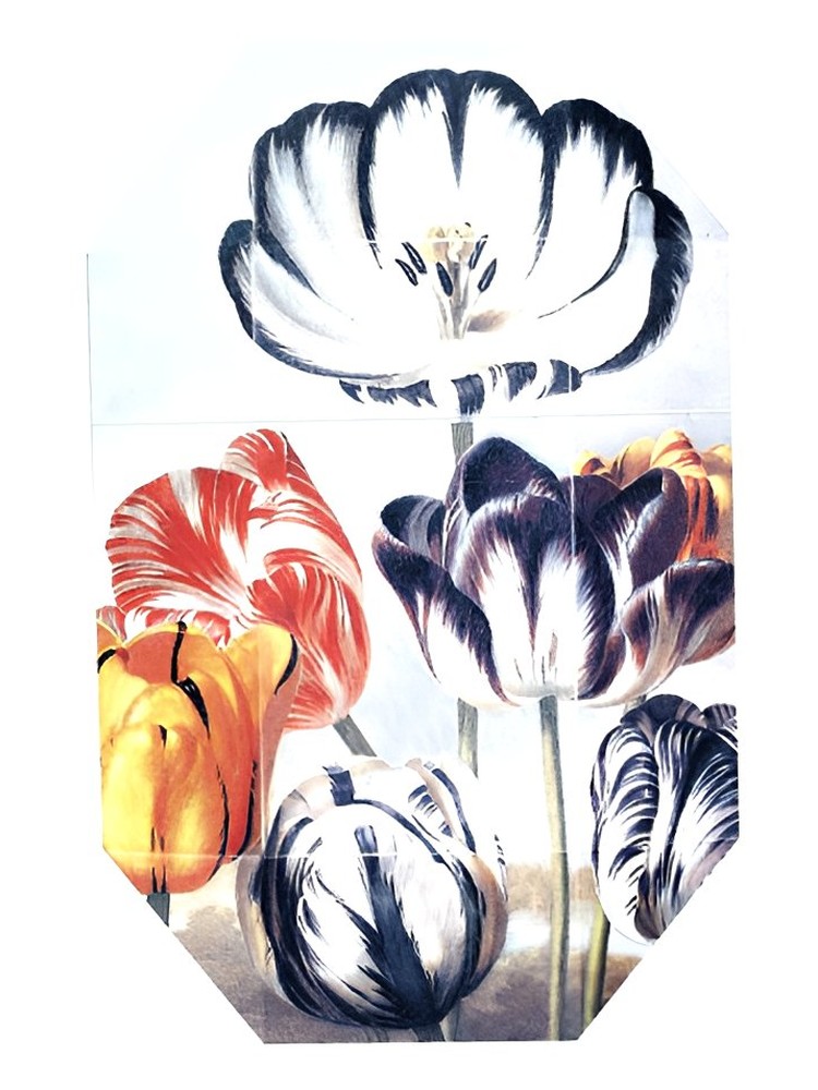Print Collection Stella 02 (2011) – Stella McCartney