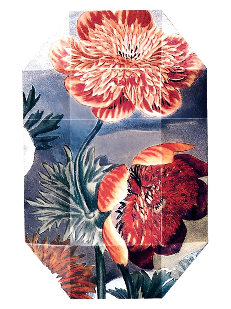 Print Collection Stella 03 (2011) – Stella McCartney