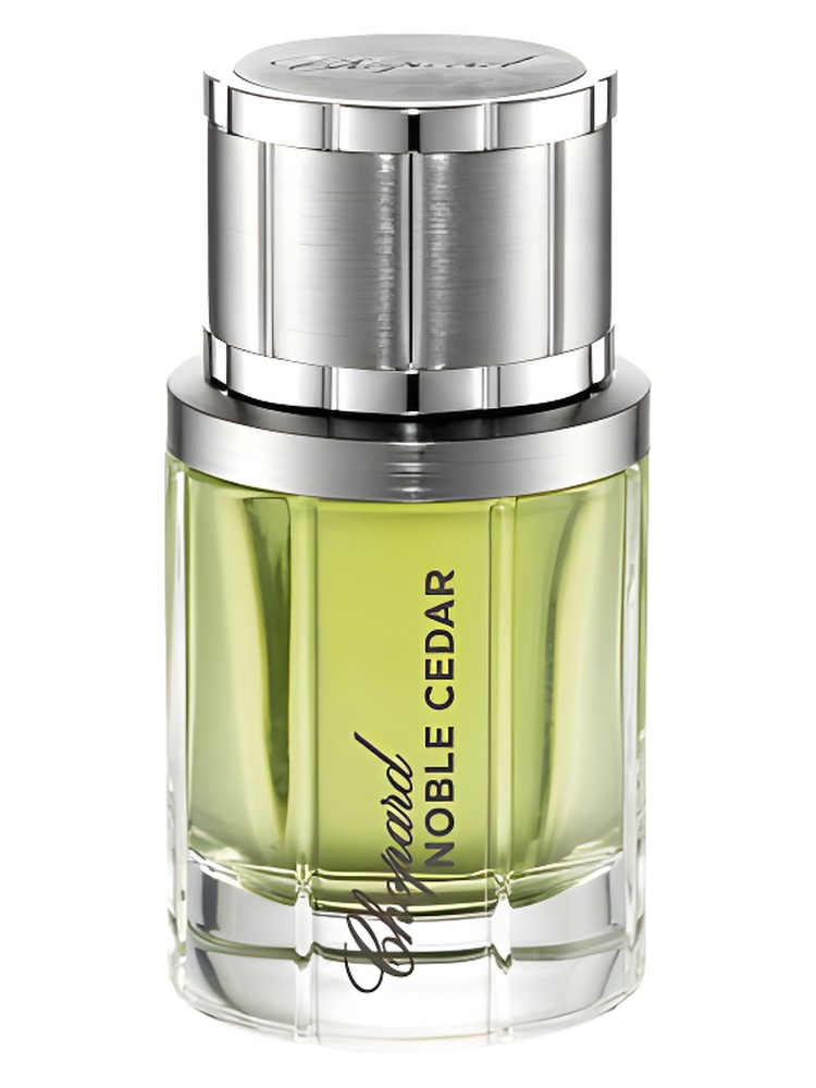 Noble Cedar – Chopard
