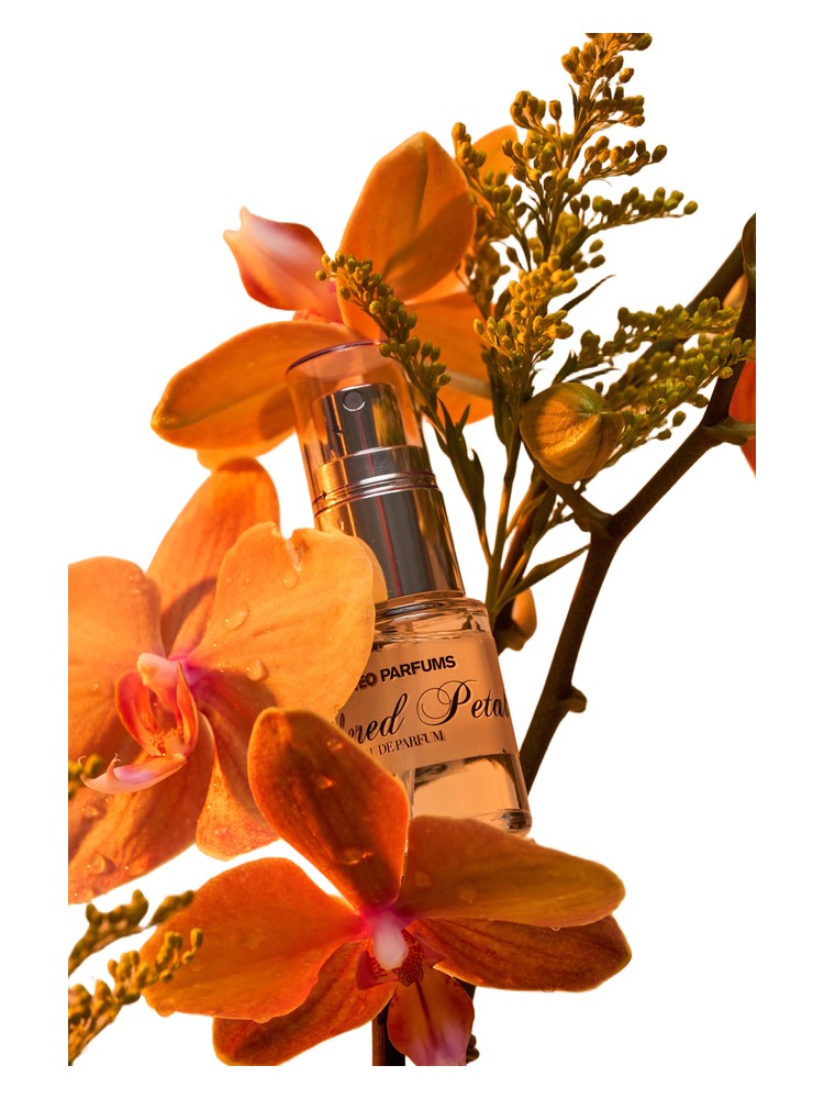 Ambered Petal – Matteo Parfums