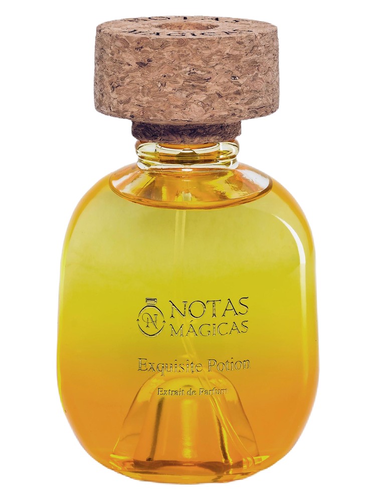 Exquisite Potion – Notas Magicas